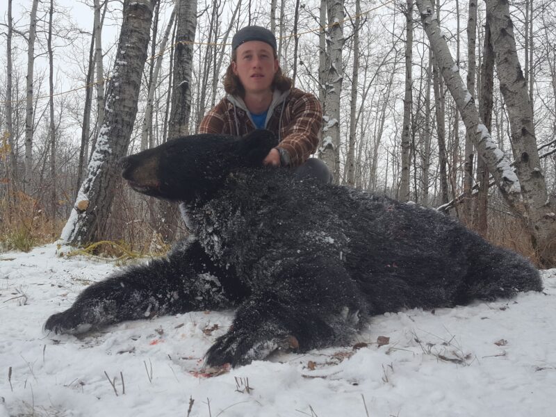 Canadian Spring Black Bear Hunt