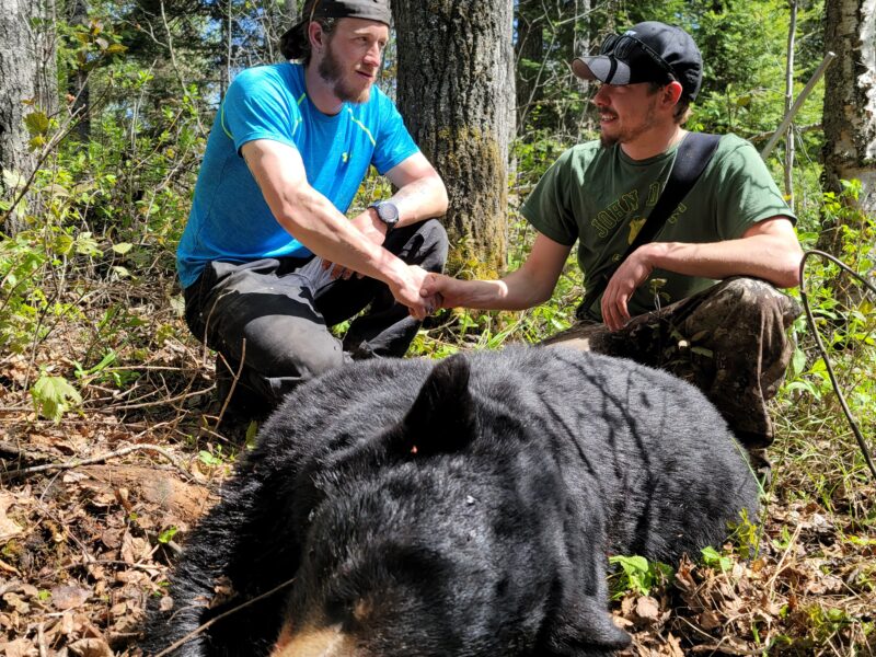 Canadian Spring Black Bear Hunt