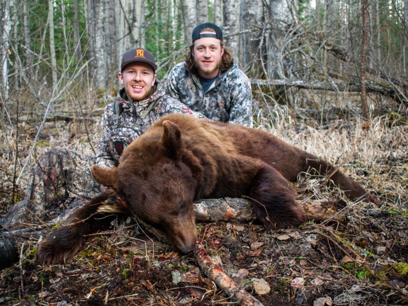 Canadian Spring Black Bear Hunt