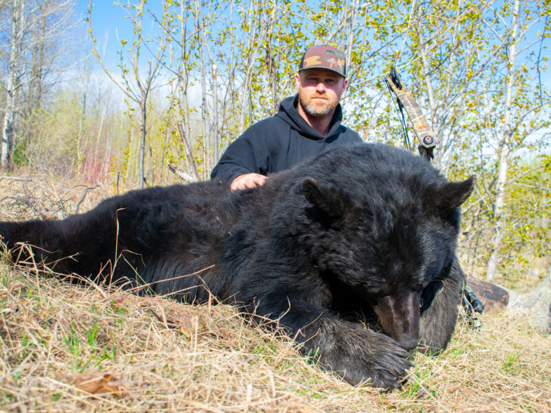 Canadian Spring Black Bear Hunt