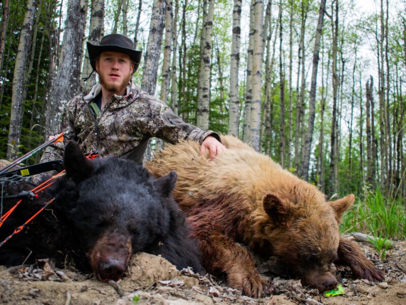 Canadian Spring Black Bear Hunt