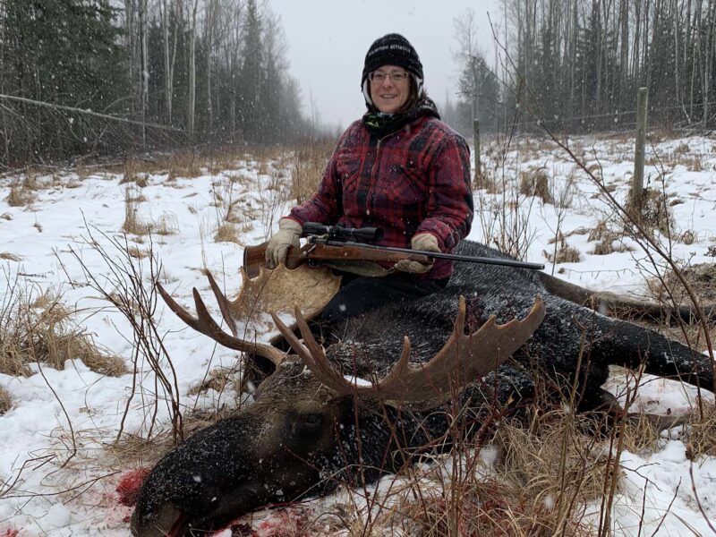 Canadian Moose Hunt in the Rut