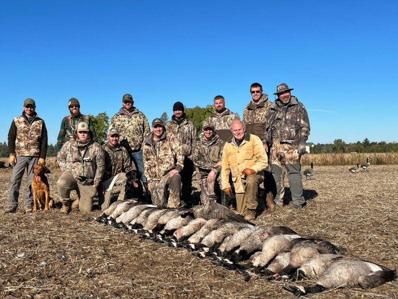 Canada Goose Hunt in Michigan