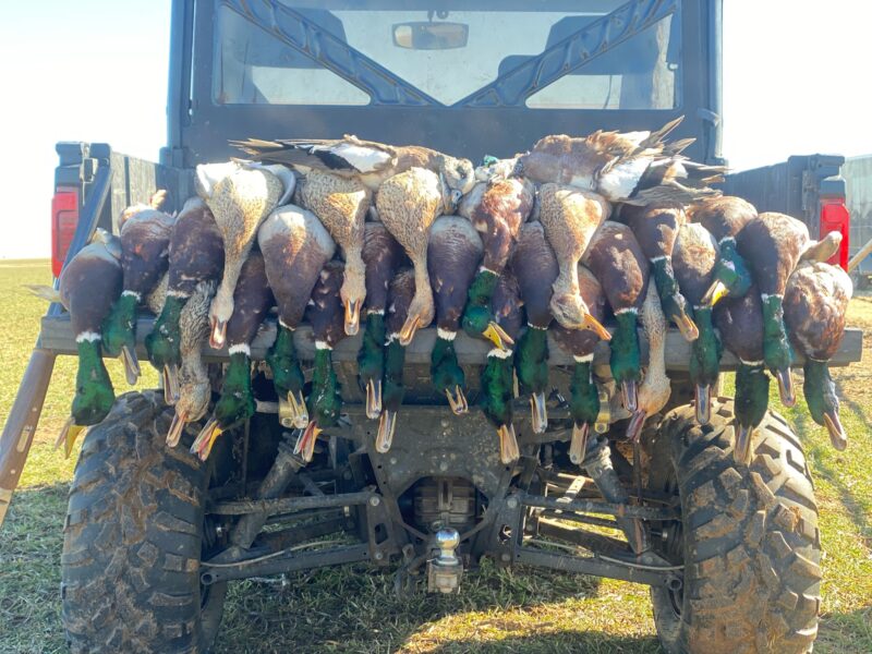 West Oklahoma Waterfowl Hunts