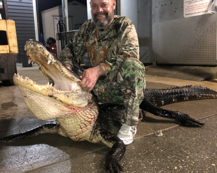 Florida Alligator Hunts (Tag Provided By Guide)