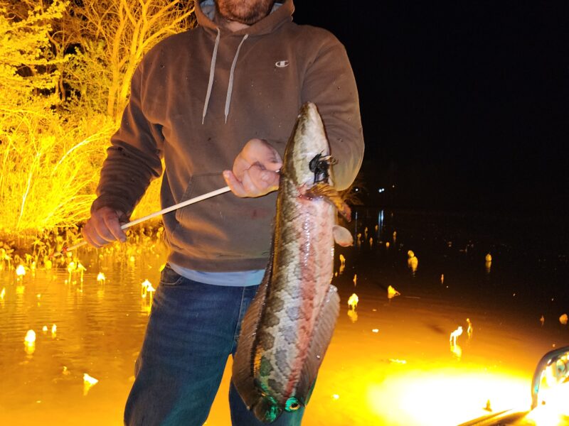 Maryland River Bowfishing 5 Hour Trips