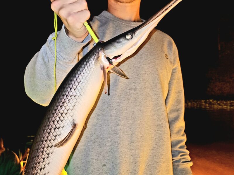 Maryland River Bowfishing 5 Hour Trips