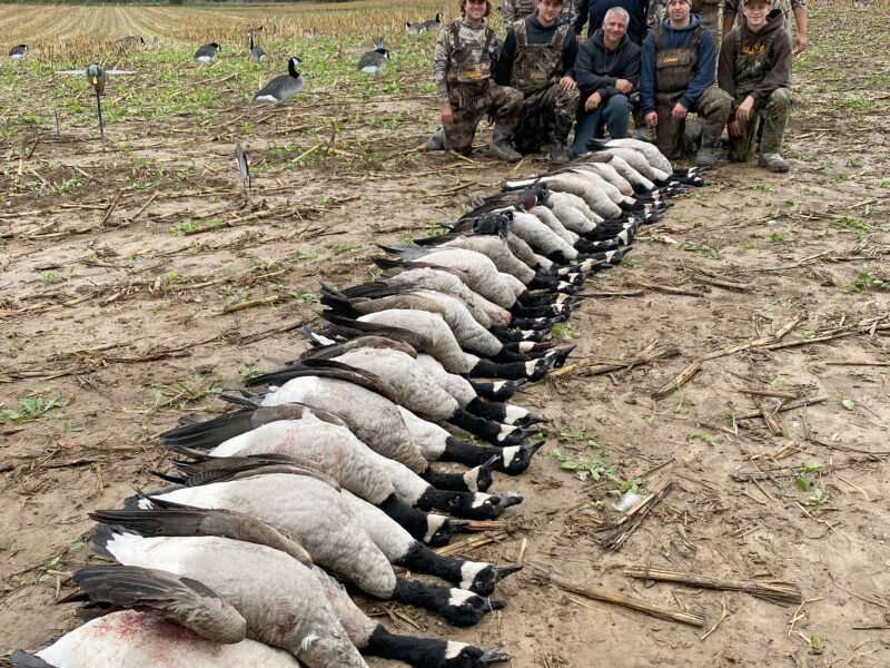 Canada Goose Hunt in Michigan