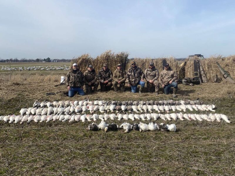 Arkansas Goose Guided Hunt