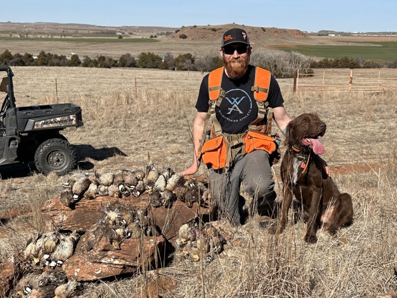 West Oklahoma Quail Hunts