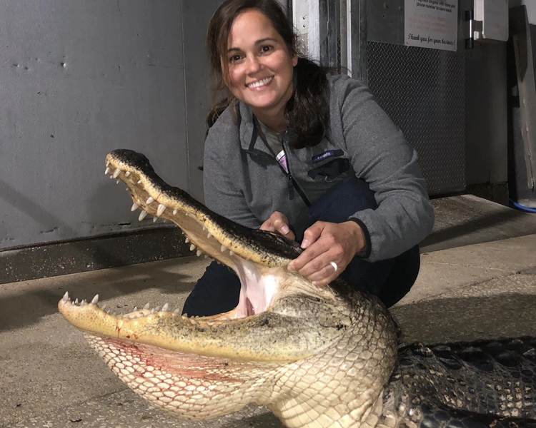 Florida Alligator Hunts (Tag Provided By Guide)