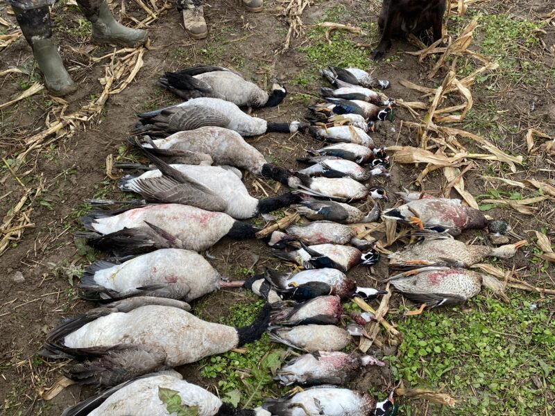 Michigan Guided Waterfowl Hunts | Fowl Affliction