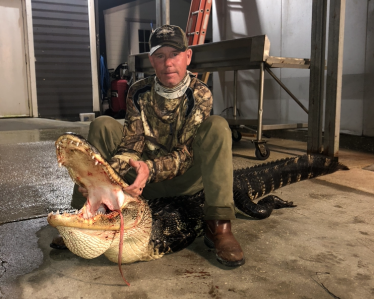 Florida Alligator Hunt (Client Provided Tags)