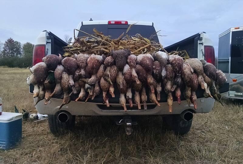 Michigan Guided Waterfowl Hunts | Fowl Affliction