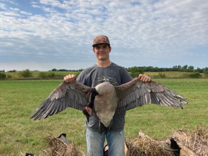 Early Season Eastern Iowa Metro Goose Hunts