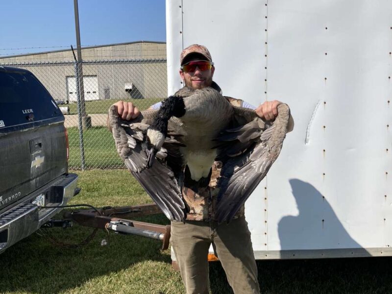 Early Season Eastern Iowa Metro Goose Hunts