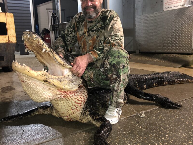 Florida Alligator Hunt (Client Provided Tags)