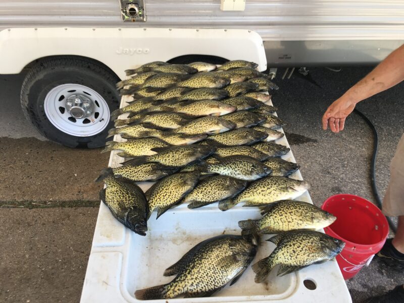 Michigan Inland Lake Fishing | Fowl Affliction