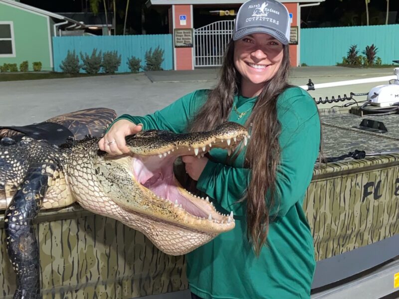 Florida Alligator Hunt (Client Provided Tags)