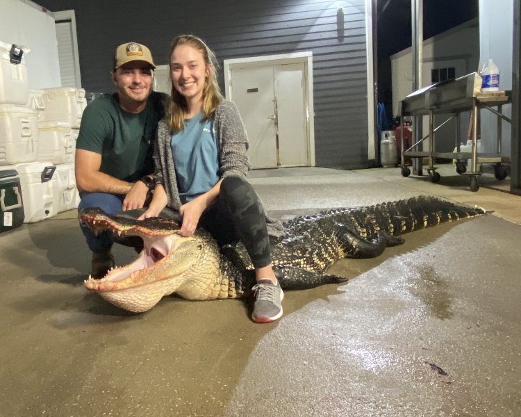 Florida Alligator Hunt (Client Provided Tags)