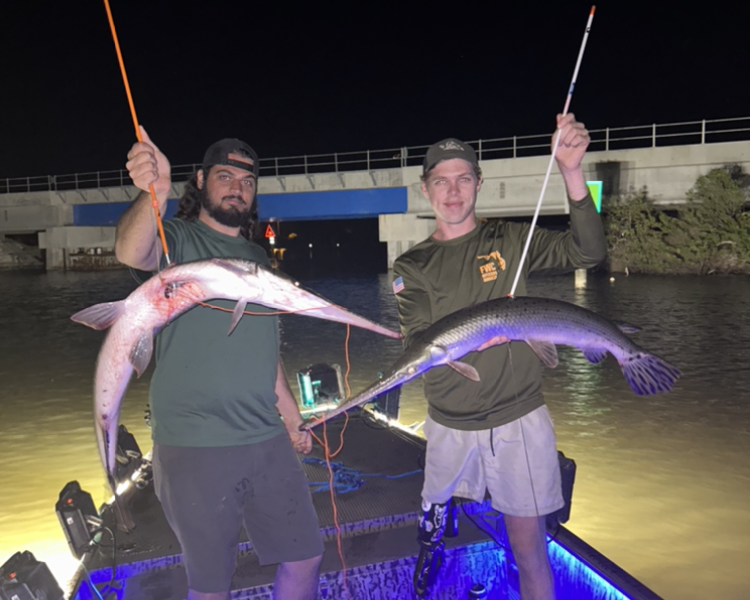 Florida Bowfishing