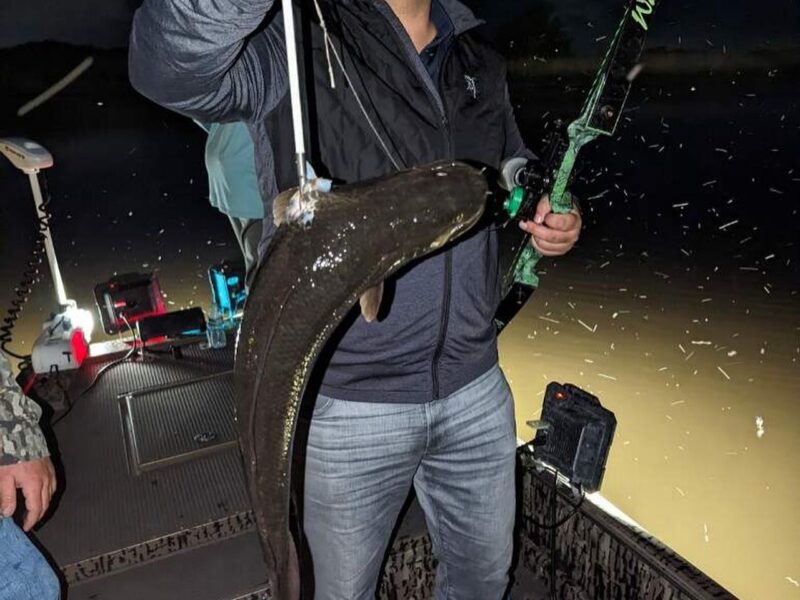 Florida Bowfishing