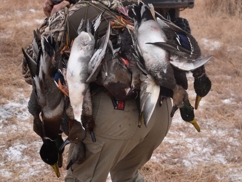 West Oklahoma Waterfowl Hunts