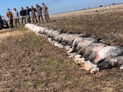 Arkansas Goose Guided Hunt