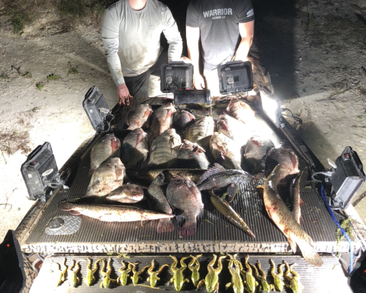 Florida Bowfishing