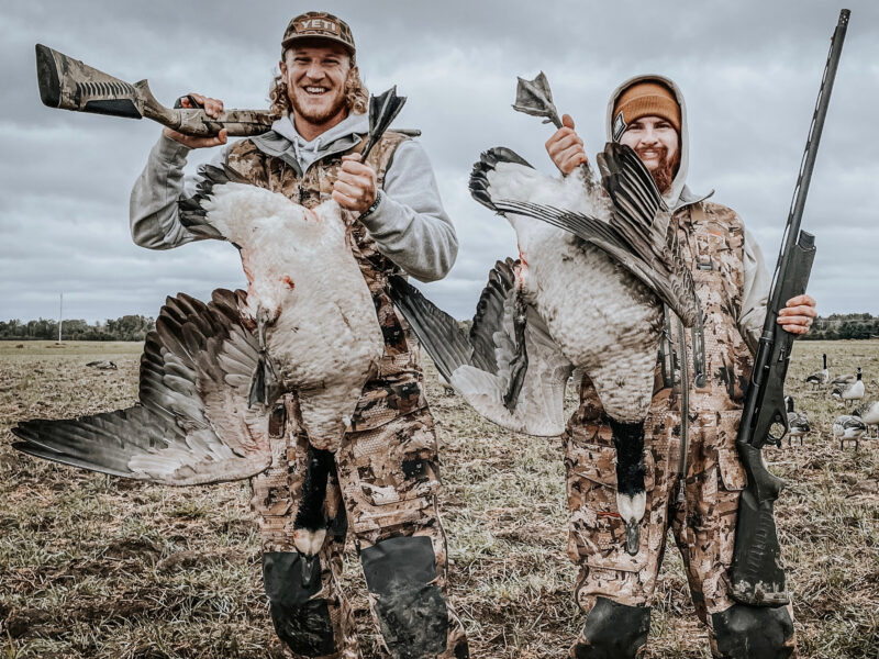 Canada Goose Hunt in Michigan