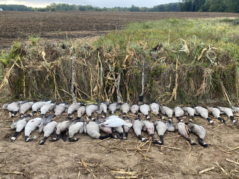 Michigan Guided Waterfowl Hunts | Fowl Affliction