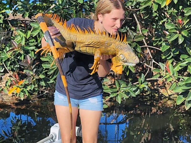 Florida Canal Iguana Hunts