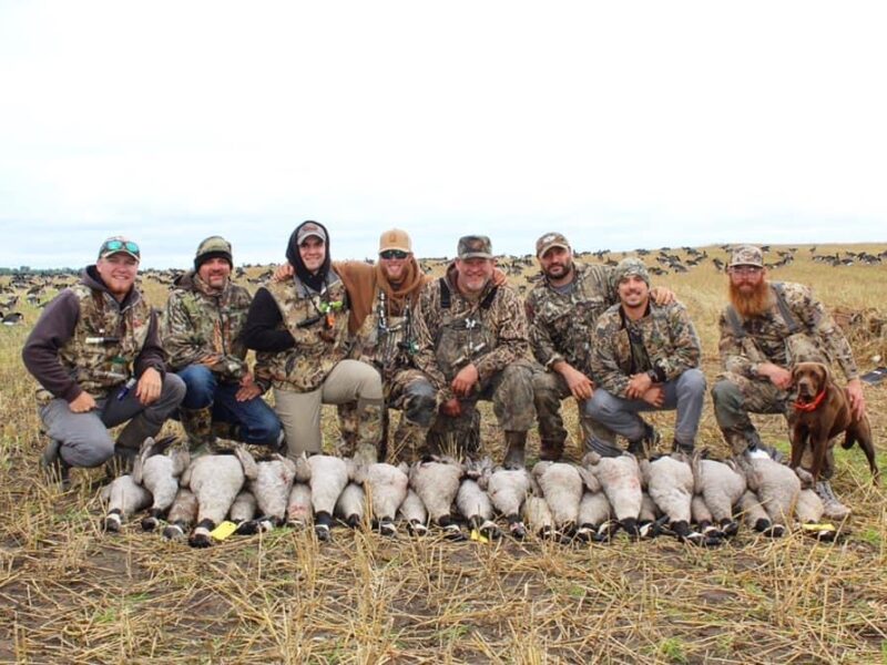 Canada Goose Hunt in Michigan