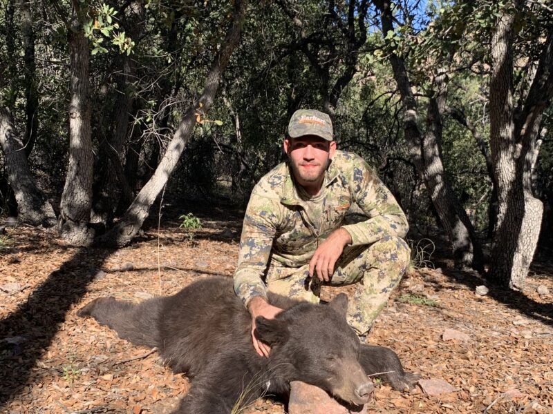 Arizona Black Bear Hunt