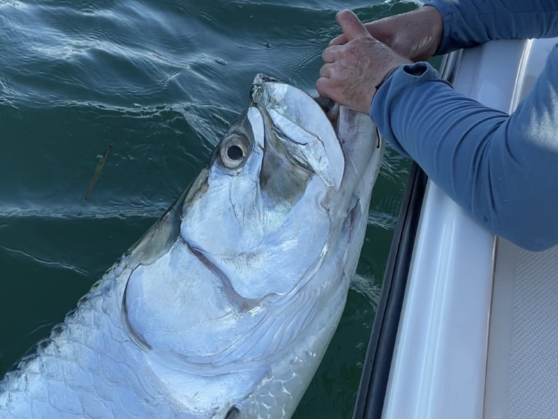 Florida Inshore Fishing Guided Trip