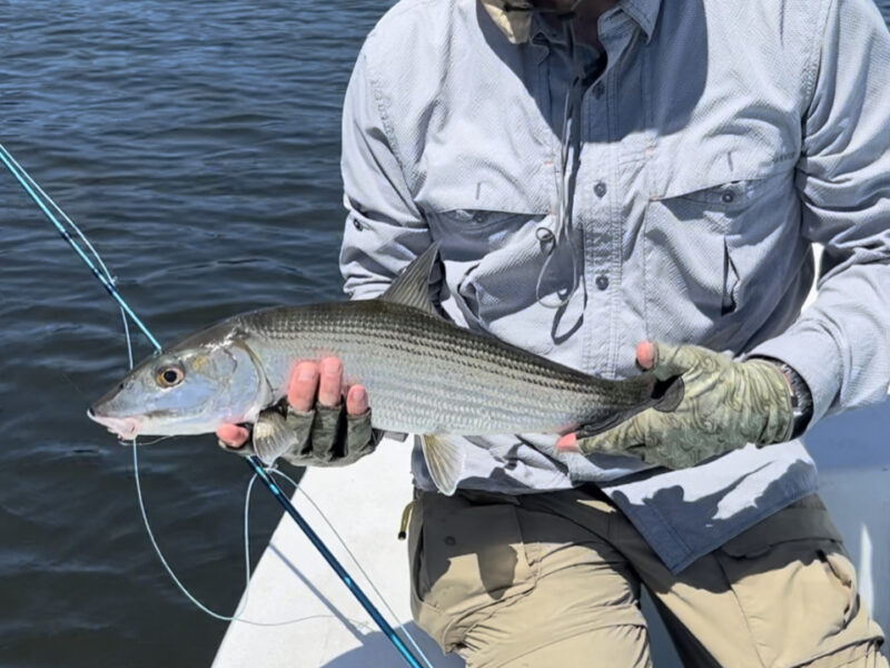 Flats and Reef Fishing in Puerto Rico