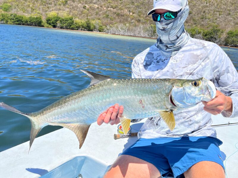 Flats and Reef Fishing in Puerto Rico