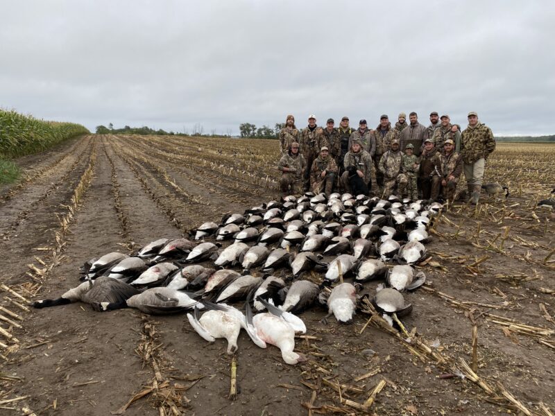 Canada Goose Hunt in Michigan