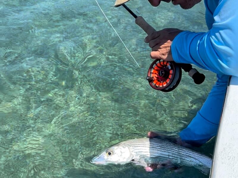 Flats and Reef Fishing in Puerto Rico