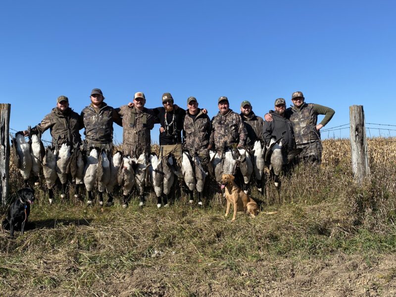 Canada Goose Hunt in Michigan