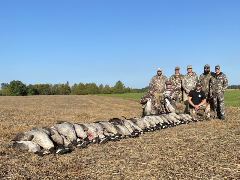 Canada Goose Hunt in Michigan