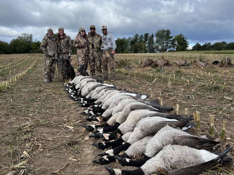 Canada Goose Hunt in Michigan