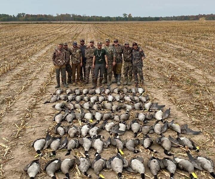 Canada Goose Hunt in Michigan