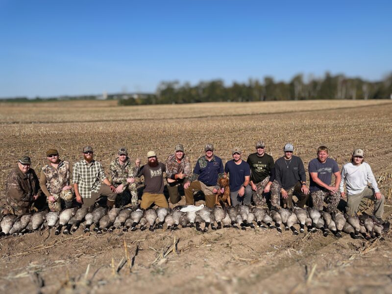 Canada Goose Hunt in Michigan