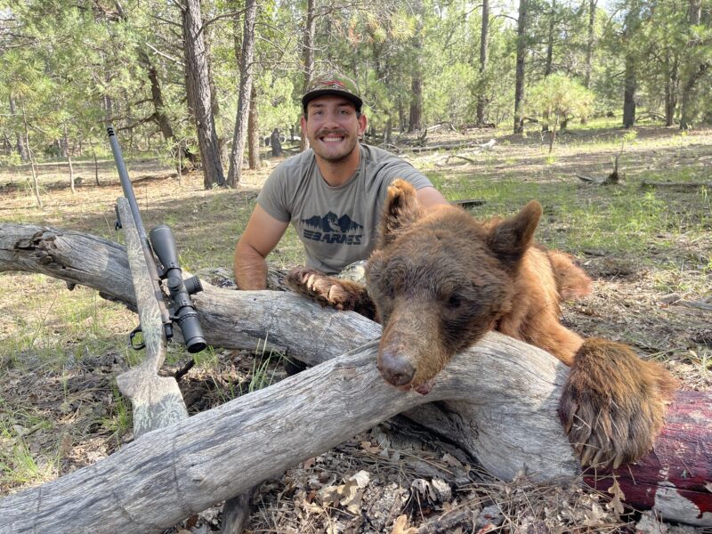 Arizona Black Bear Hunt