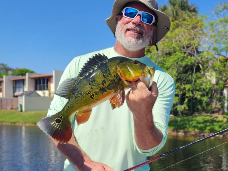 Miami Florida Peacock Bass Fishing