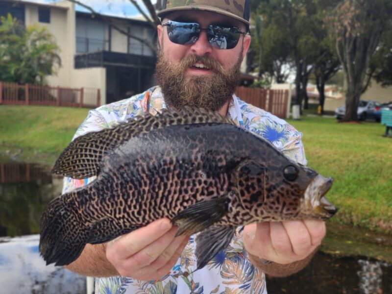 Miami Florida Peacock Bass Fishing