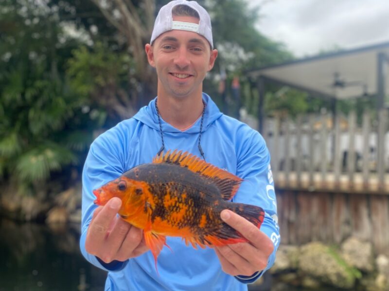 Miami Florida Peacock Bass Fishing