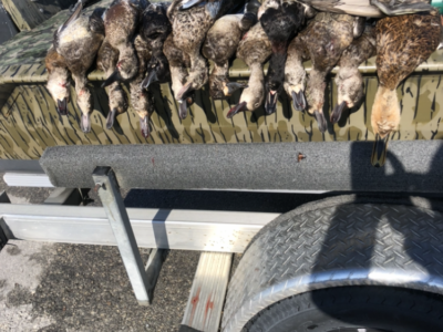 Central Florida Guided Duck Hunt