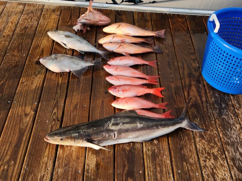 Florida Fishing Charter in Panama City